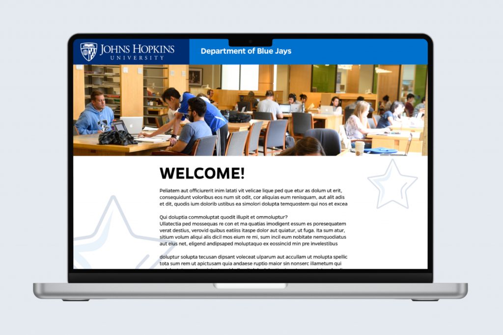 Website on a computer